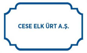 CESE ENERJİ